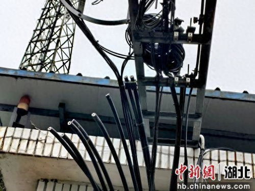 当阳警方雷霆出击 成功侦破盗窃基站通讯设备系列案件
